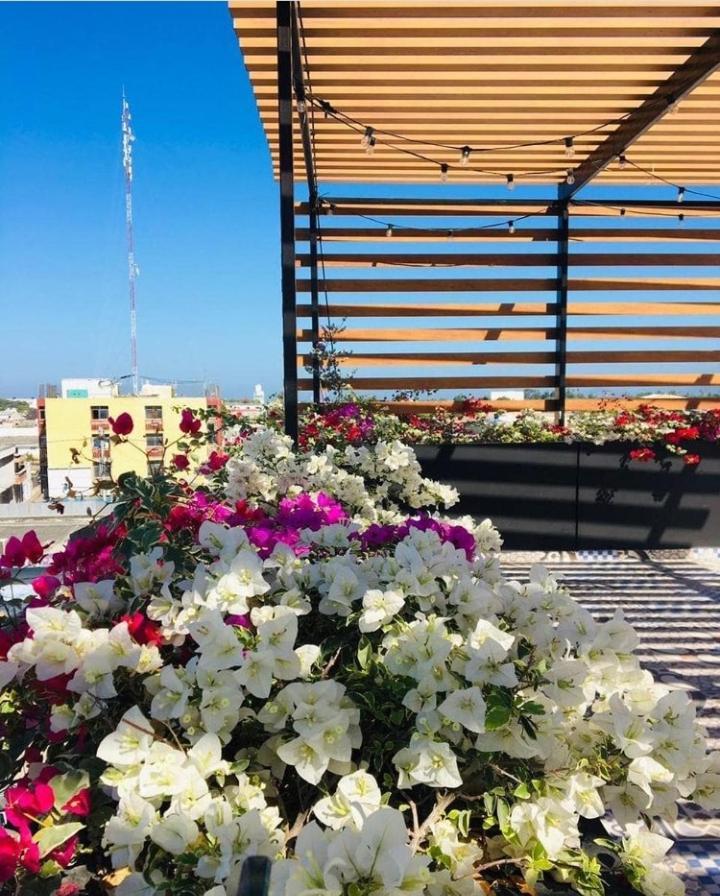Cienaguas Hotel Ciénaga Dış mekan fotoğraf